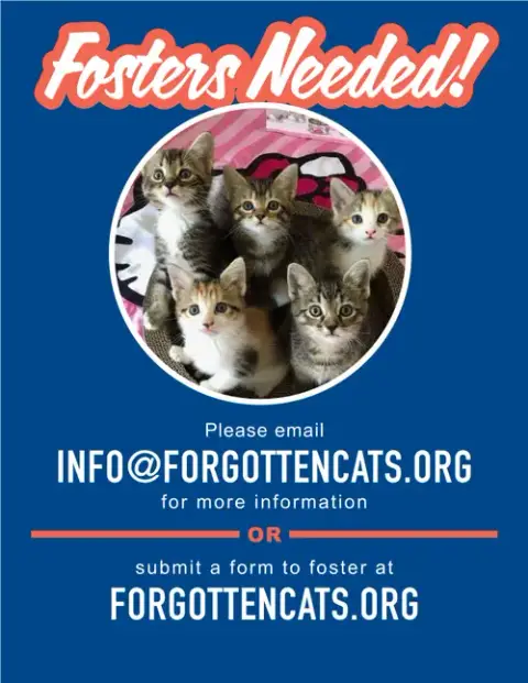 Fosters Requested