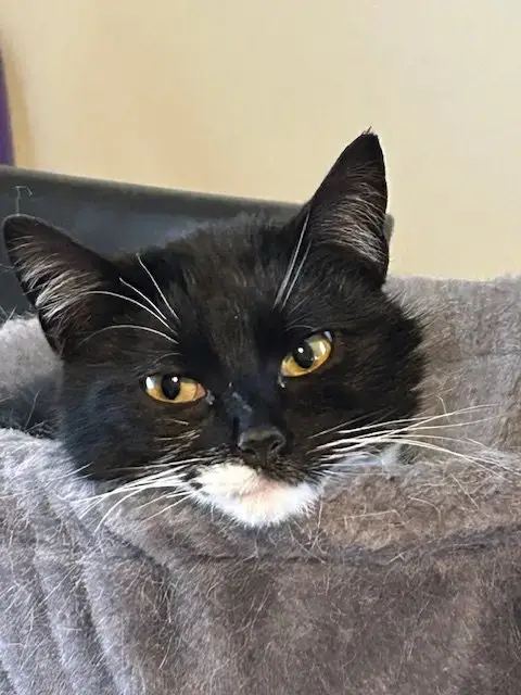 Bibi photo 2