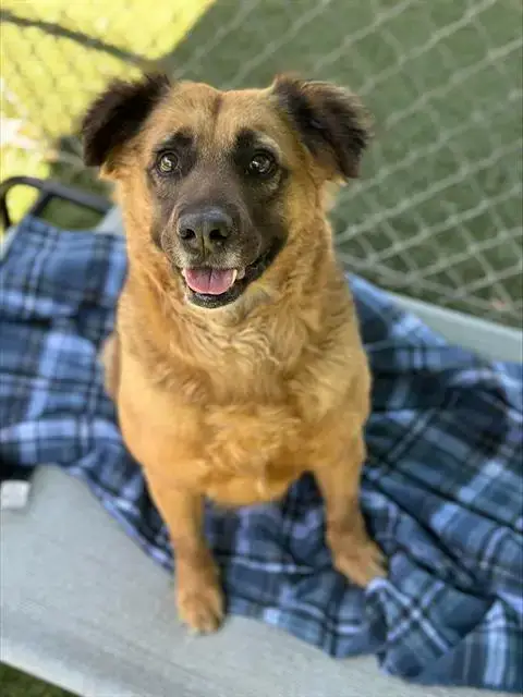Coco