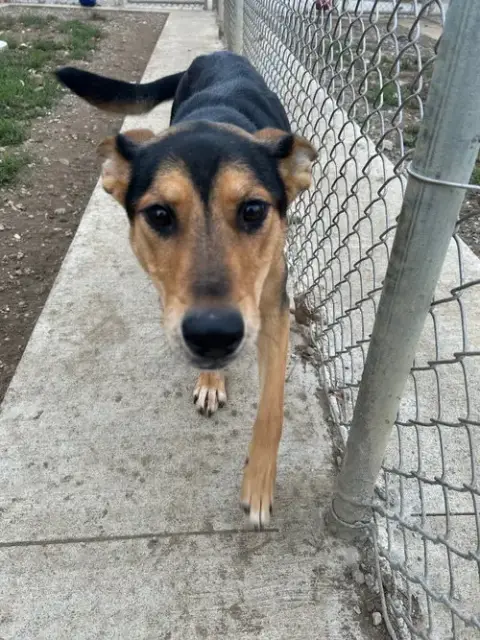 Athena photo 2