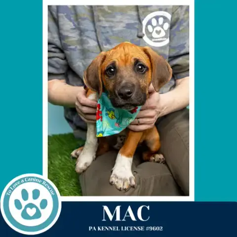 Mac