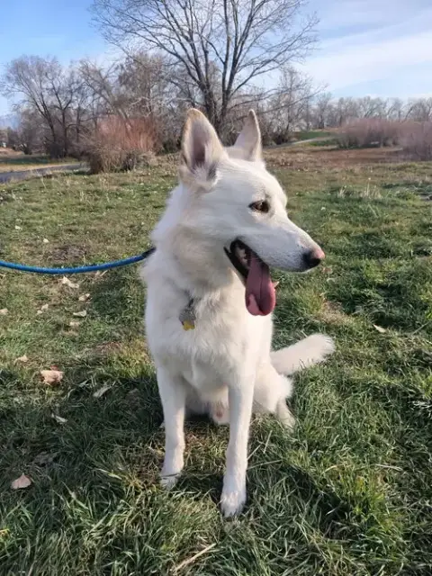 Bestest Buddy photo 3