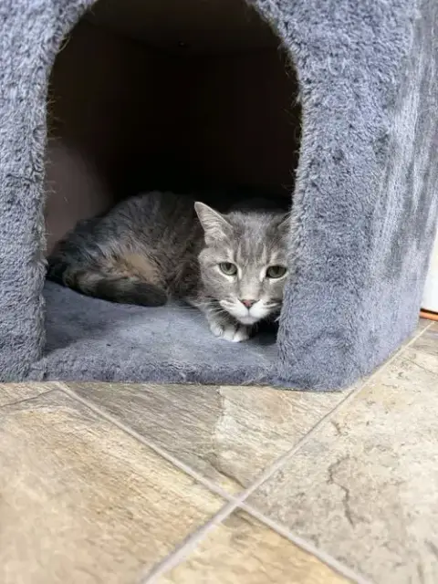 Bella