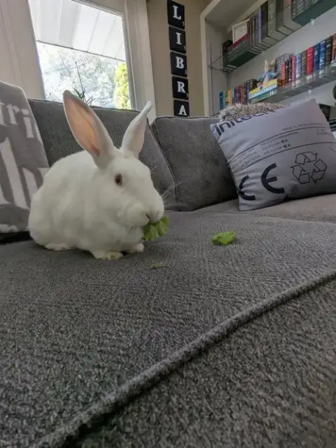 Margot photo 3