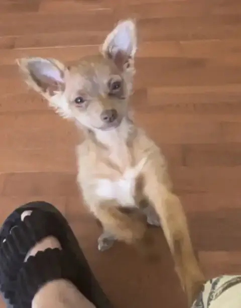 Rico E