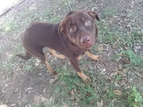 Bear Lola photo 2