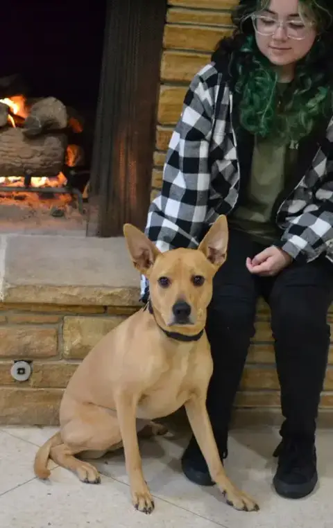 Koda photo 4