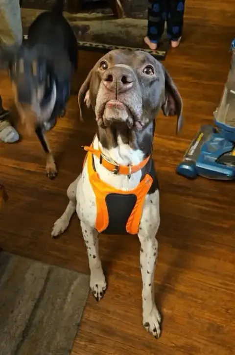 Gunner