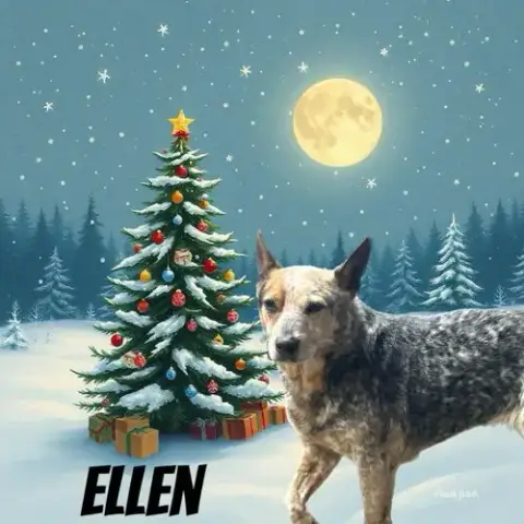 Ellen photo 5