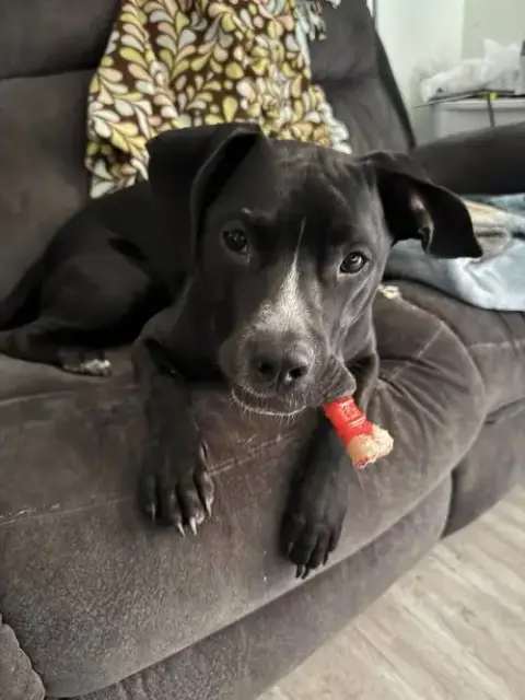 Gunther photo 4