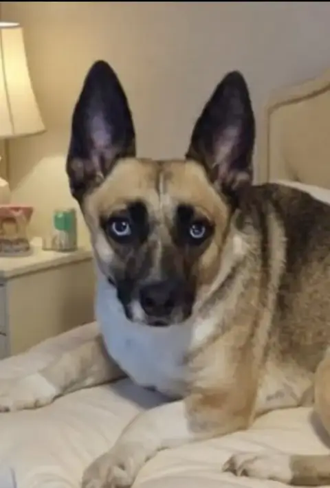 Henrietta Aka Henny