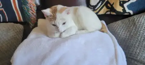 Stormie