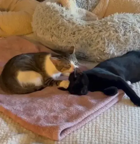 Binx & Nina