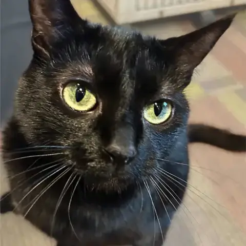 Dilly