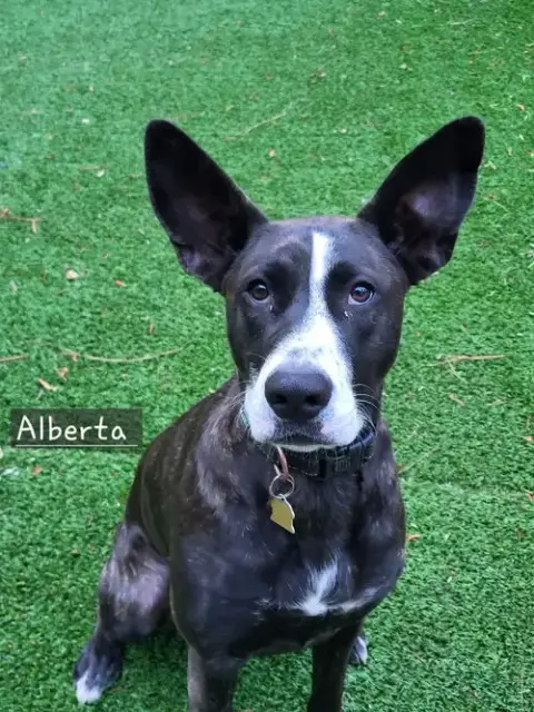 Alberta