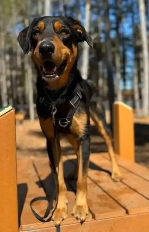 Rupert
