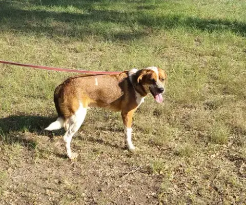 Reagan photo 3