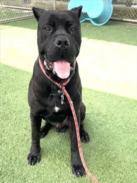 Marco