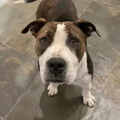 Maggie Mae photo 2