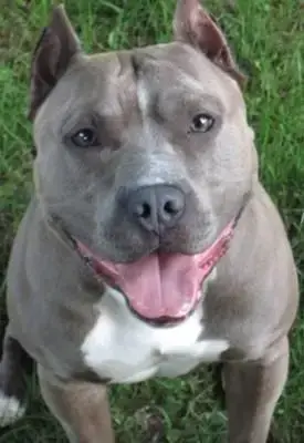 George photo 4