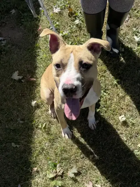 Ella photo 4