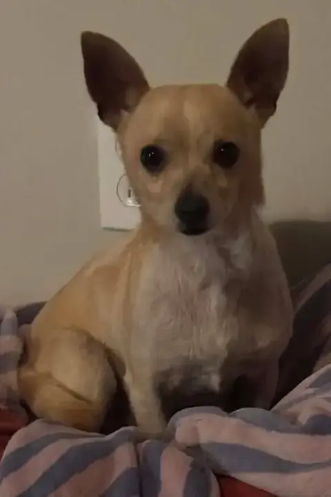 Milo photo 3