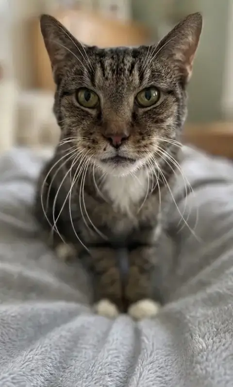 Rupert: Not At Shelter