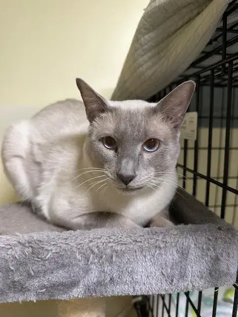 Nimbus photo 2