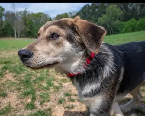 Suki photo 4