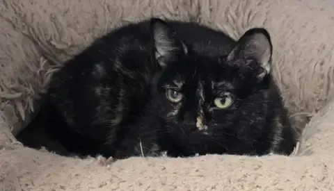 Leela