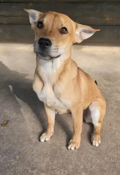 Aruba
