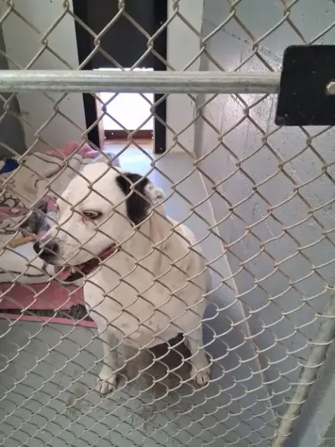 Tucker photo 2