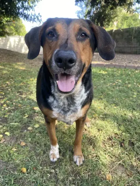 Rescue photo 4