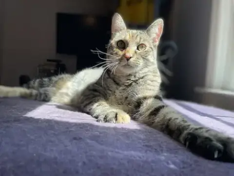 Mabel photo 3