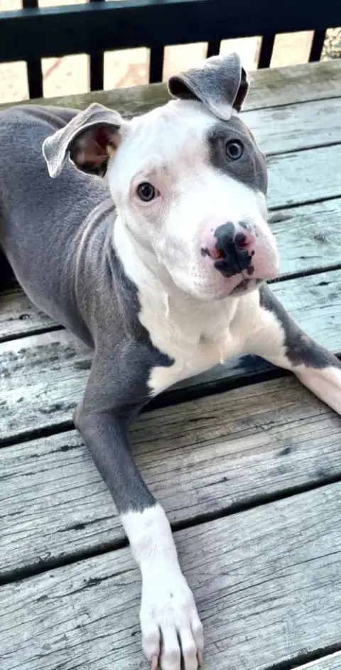 Zeus photo 3