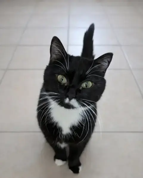 Josephine photo 4