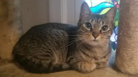 Kiki photo 2
