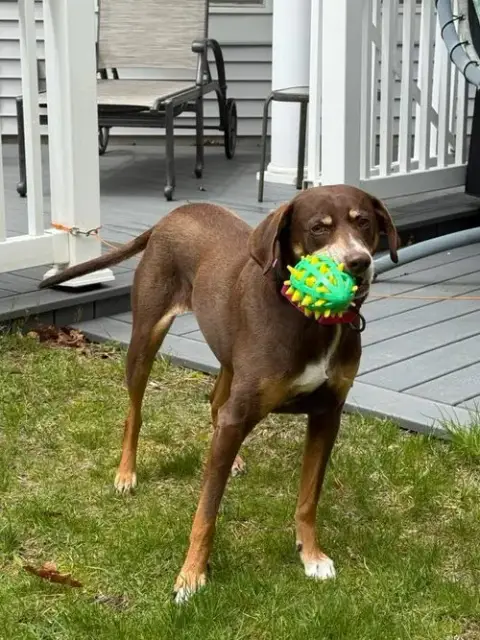 Fallon photo 2