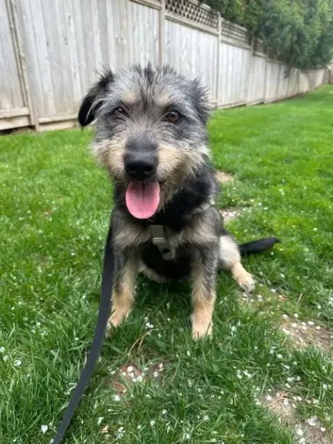 Susie photo 4