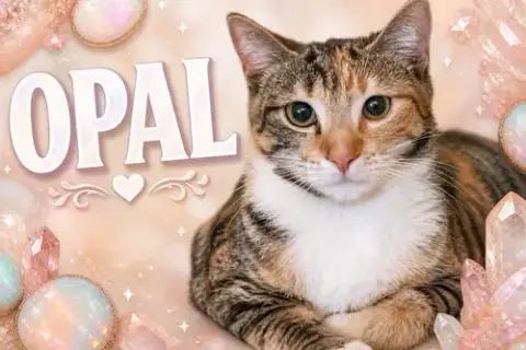 Opal