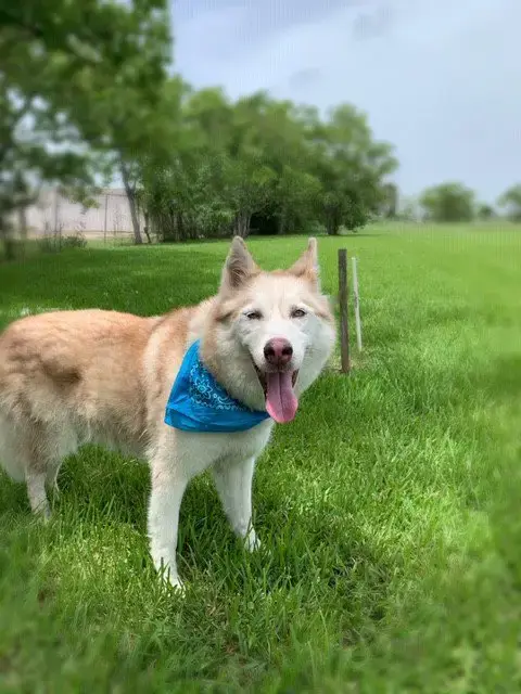 Mia photo 3