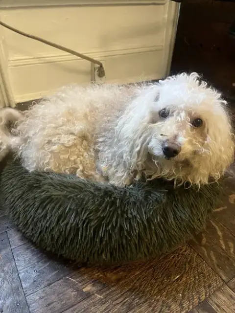 Happy photo 2