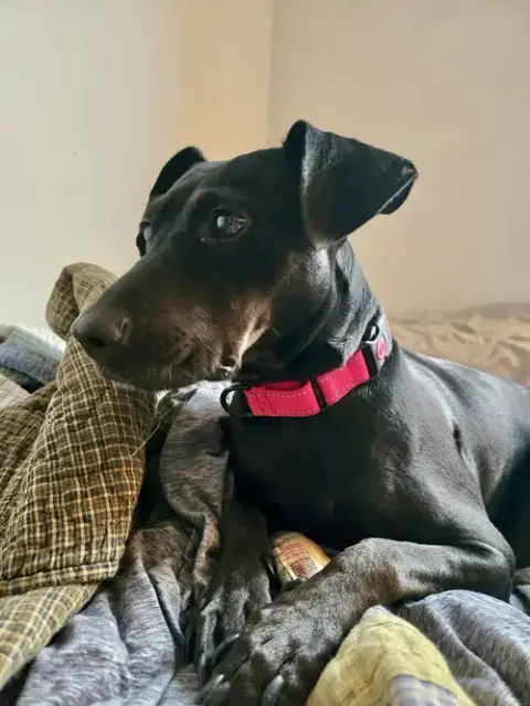 Elsa photo 3