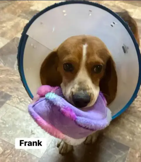 Frank photo 2