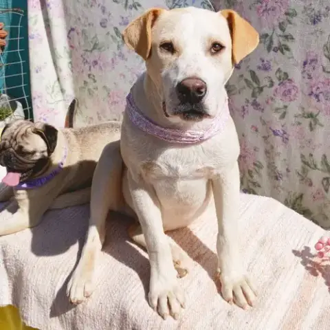 Jingles-His Bff Is Baby Girl photo 3