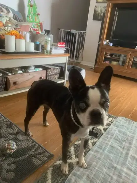 Khloe