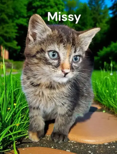 Missy photo 5