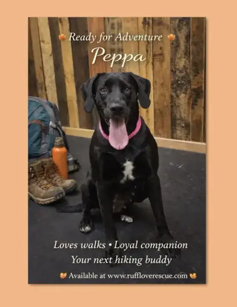 Peppa