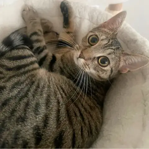 Itsy photo 2