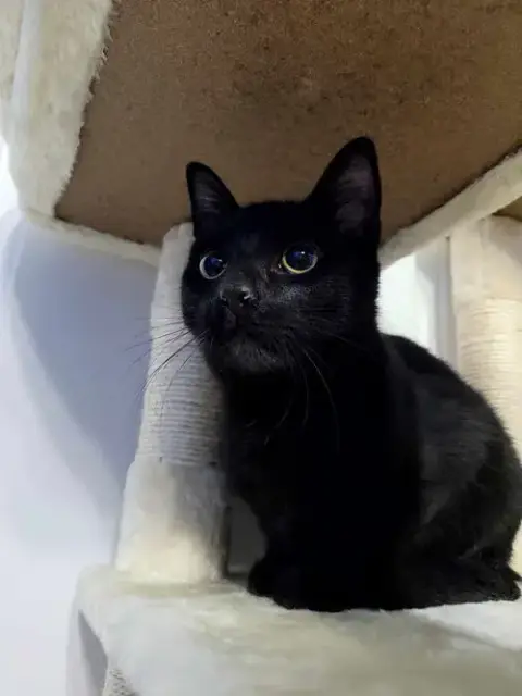 Salem photo 3